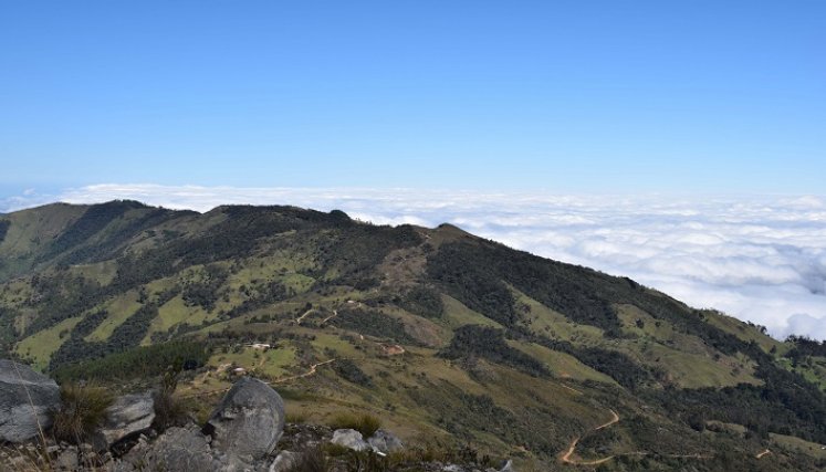 Norte de Santander ha sufrido un intenso proceso de deforestación en las últimas décadas./Archivo La Opinión