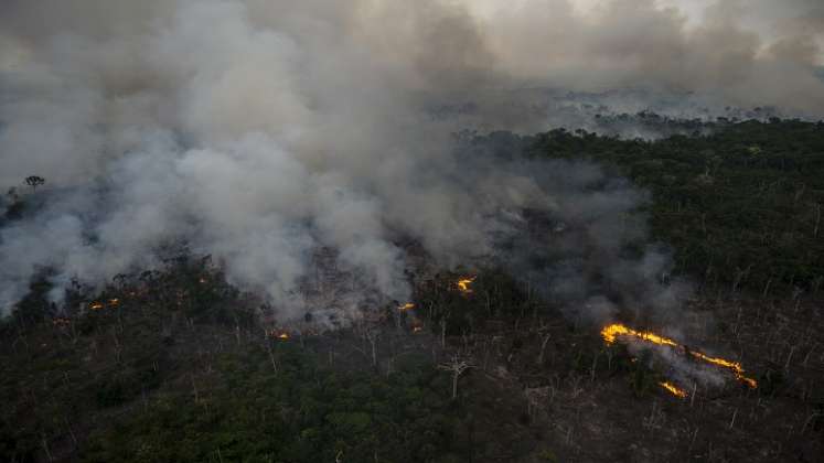 científicos afirman que es imposible predecir qué tan cerca está la selva de su punto de no retorno