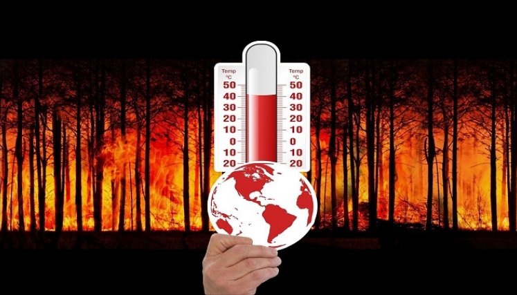 Aumenta la temperatura del planeta.