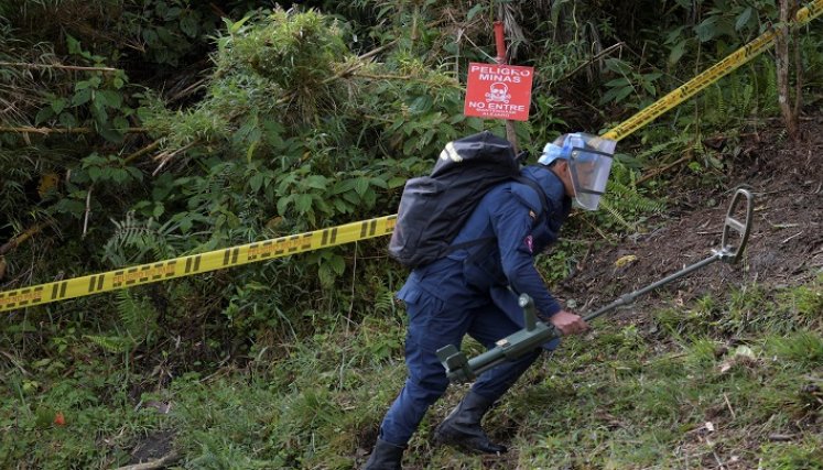 ahora se ven militares y brigadas humanitarias desterrando uno de los vestigios más dolorosos del conflicto: las minas antipersona./AFP