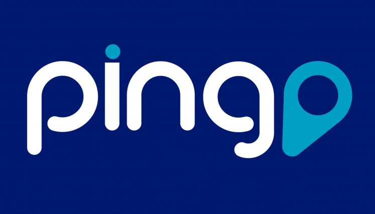 Pingo, aplicación cucuteña para conectar empresas con clientes.