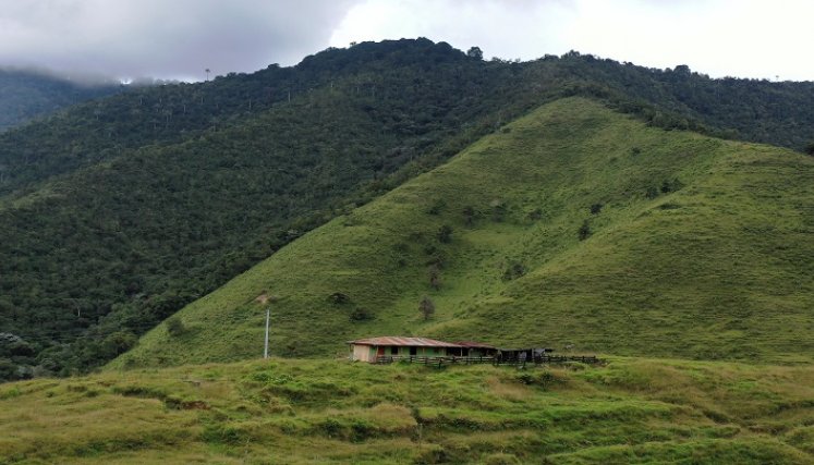 Vista general de Marquetalia, cuna de las Fuerzas Armadas Revolucionarias de Colombia (FARC), Departamento de Tolima, Colombia-/AFP