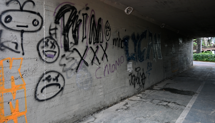 Las paredes también se encuentran rayadas.