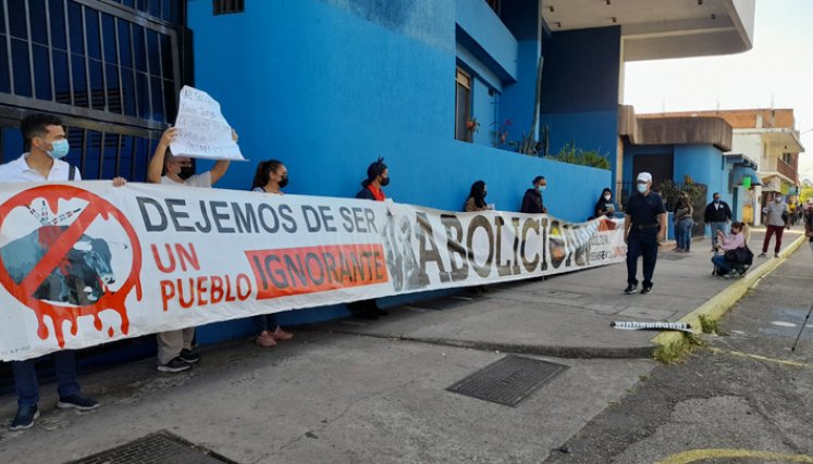 Hay posiciones divididas frente a adelantar este tipo de actividades con animales en San Cristóbal./ Foto: La Opini´´on