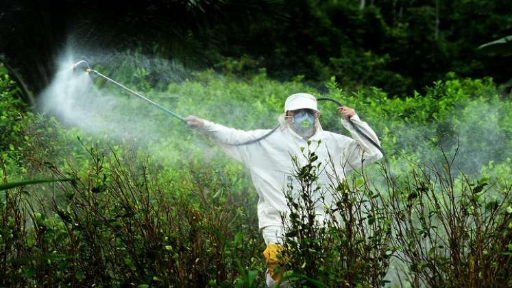 ¿Fin de la fumigación con glifosato?