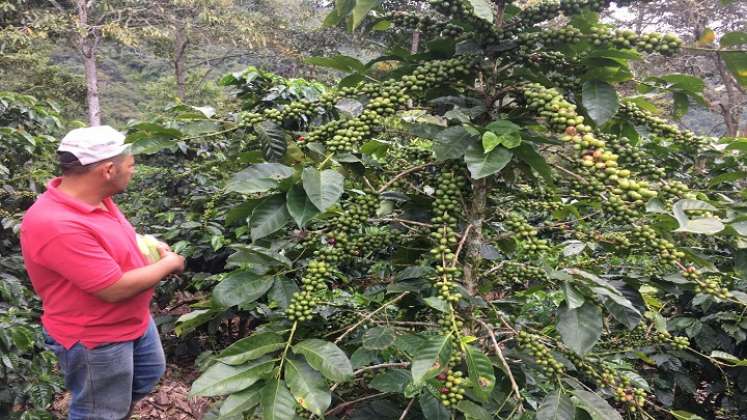 La UFPS, seccional Ocaña coordina con la Cooperativa de Caficultores del Catatumbo la implementación de la ruta del café. / Foto: Cortesía / La Opinión.