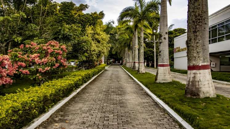 En camino está despejado para el retorno a las aulas de clases.