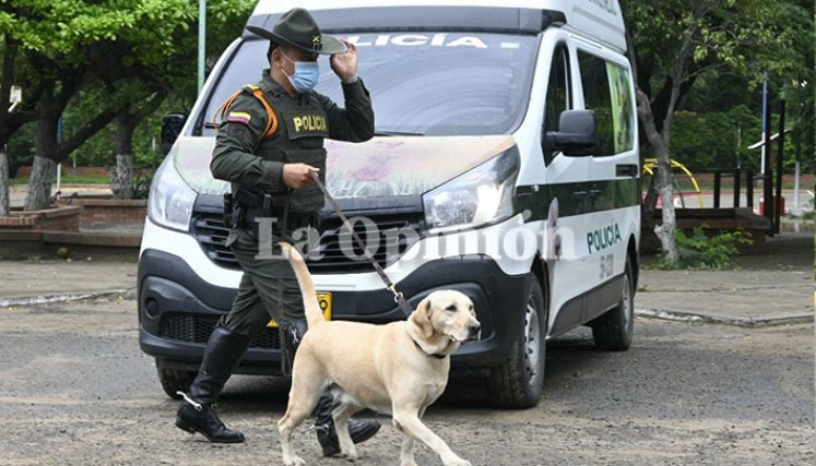 guía canina