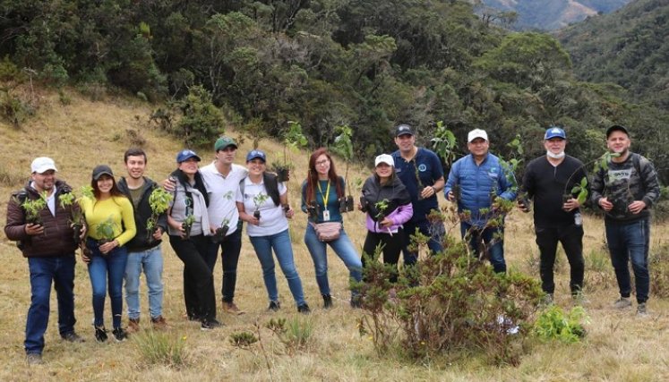Los ambientalista se desplazaron hasta la vereda García, a sembrar los árboles. Foto: Cortesía/La Opinión.