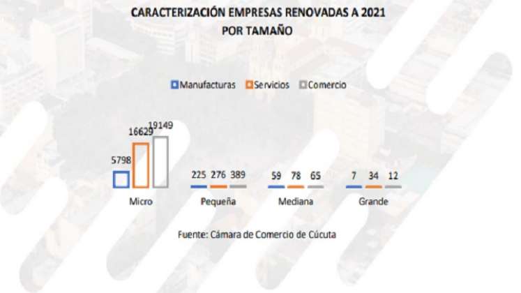 Tamaño de empresas vigentes en Cúcuta según la Cámara de Comercio./Foto: cortesía