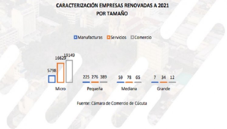 Tamaño de empresas vigentes en Cúcuta según la Cámara de Comercio./Foto: cortesía