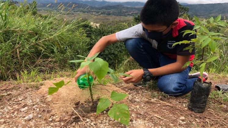 Distintas entidades se unen para ofrecer un ambiente sano a los habitantes de la región. 