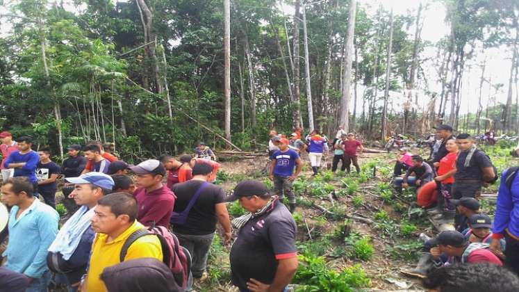 os labriegos de la zona del Catatumbo en máxima alerta por la erradicación de los cultivos ilícitos. Reclaman una verdadera Reforma Agraria Integral. / Foto: Cortesía / La Opinión 