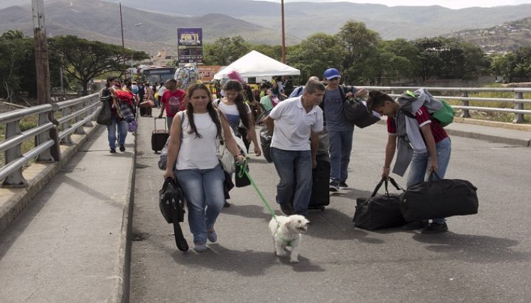 mascotas - migración 