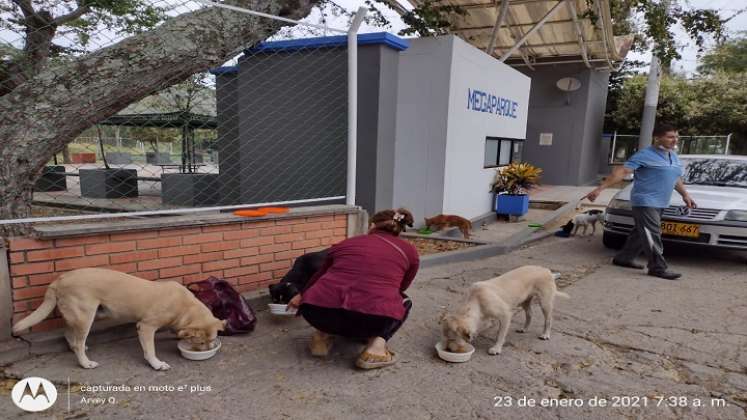 Todos los días suministra el alimentos a los perros en condición de calle.