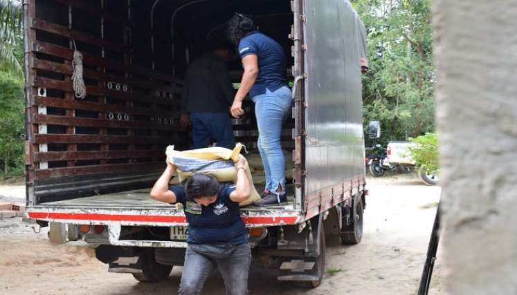 Las mujeres de la vereda El Amparo, en el corregimiento Palmarito de la zona rural de Cúcuta, se sumaron al proyecto de pollos de engorde 