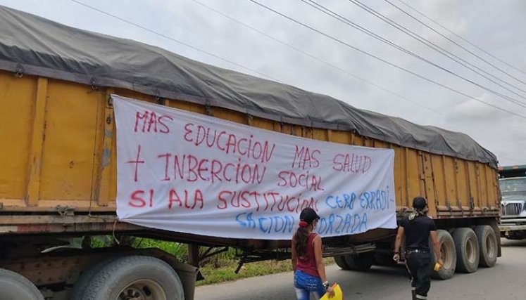 Campesinos protestaron hoy en el catatumbo por el reinicio de la erradización de cultivos de coca./Foto cortesía