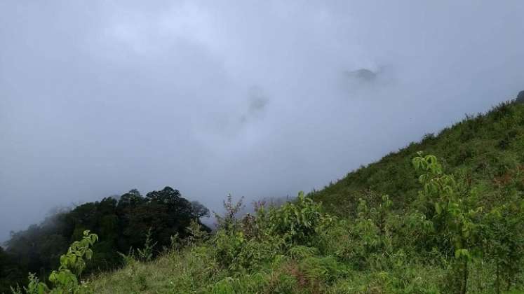 Integrantes de la Asociación de Amigos del Acueducto Independiente de la Ciudadela Norte de Ocaña, ADAMIUAIN, promueven un modelo comunitario para la recuperación de las fuentes hídricas de la zona del Catatumbo.