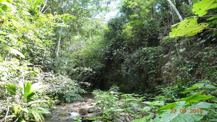 Integrantes de la Asociación de Amigos del Acueducto Independiente de la Ciudadela Norte de Ocaña, ADAMIUAIN, promueven un modelo comunitario para la recuperación de las fuentes hídricas de la zona del Catatumbo.