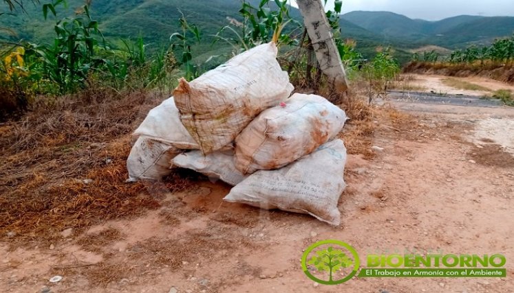 La fundación Bioentorno traza las rutas para la recolección de recipientes post consumo de sustancias tóxicas. / Foto: Cortesía / La Opinión
