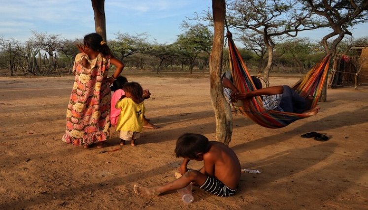 Niños mueren de hambre en la Guajira