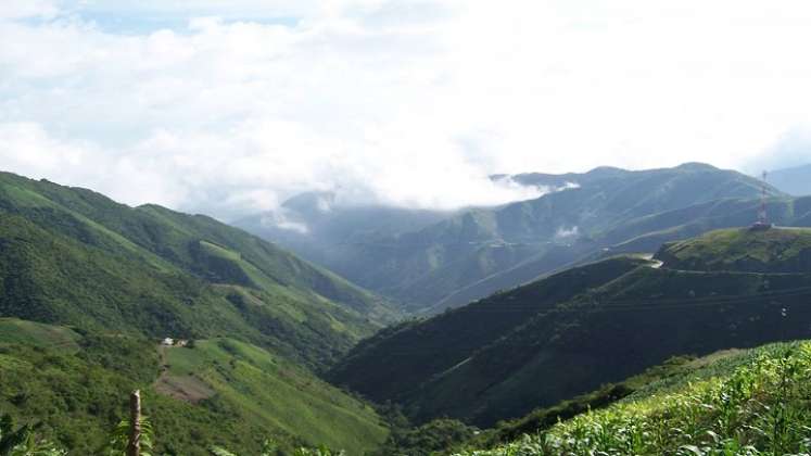 Distintas entidades suman esfuerzos por la conservación de los recursos naturales.  