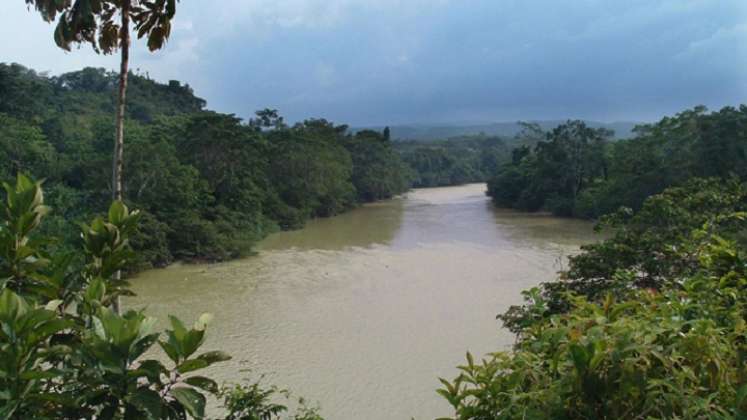 imponente selva del Catatumbo