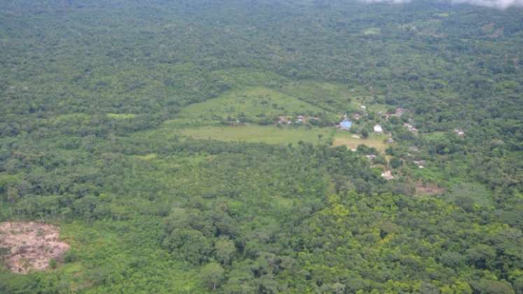 imponente selva del Catatumbo