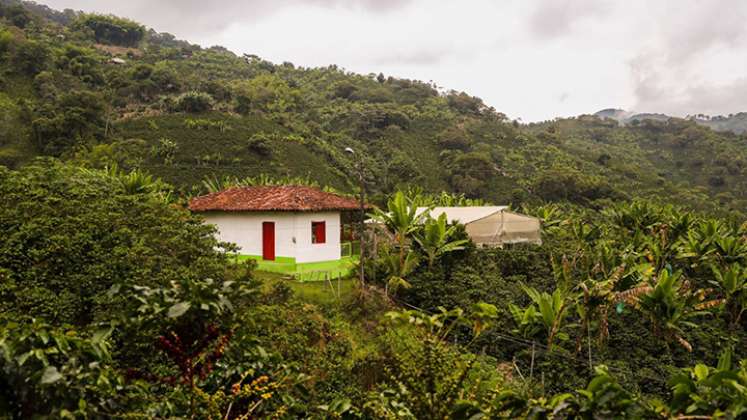 Restitución de tierras.