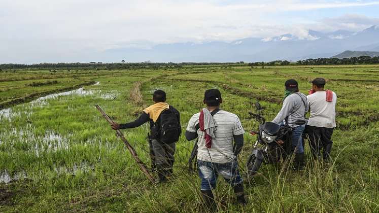 La ley contempla penas para invasores de tierras