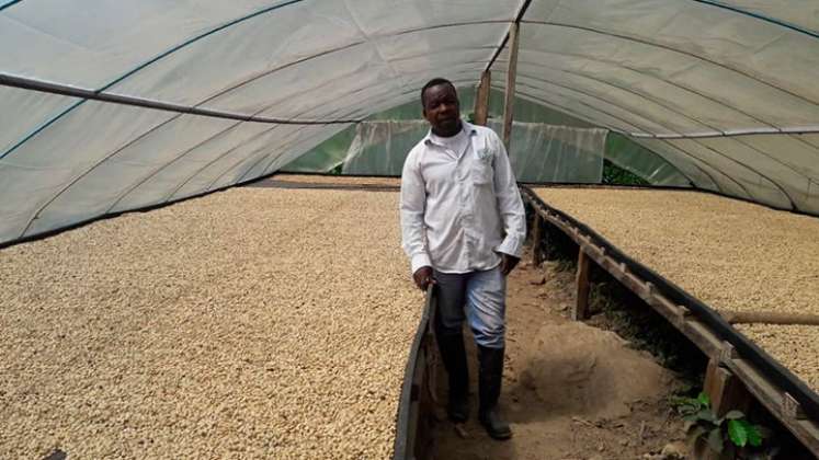 Domingo Torres ganó en dos categorías el año pasado en la edición del evento, por su café suave y exótico que cultiva en la finca. / Foto: Archivo