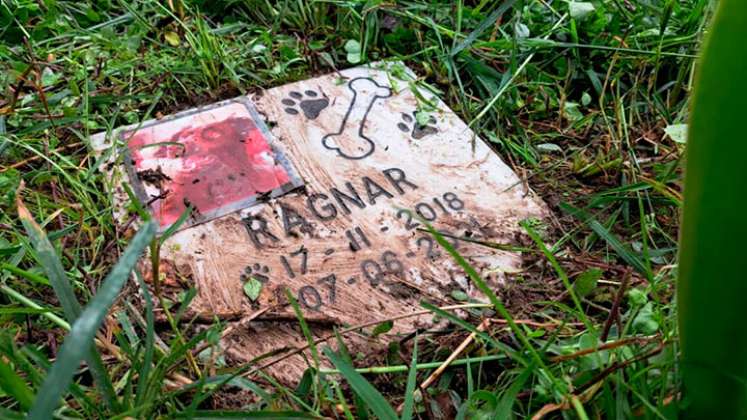 Cementerio de mascotas en el Táchira