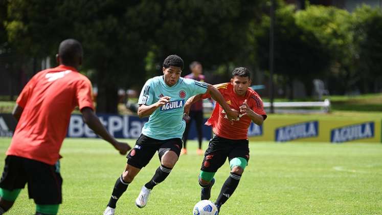 La selección Colombia Sub-20 se encuentra concentrada en Cali para afrontar el Suramericano de la categoría.