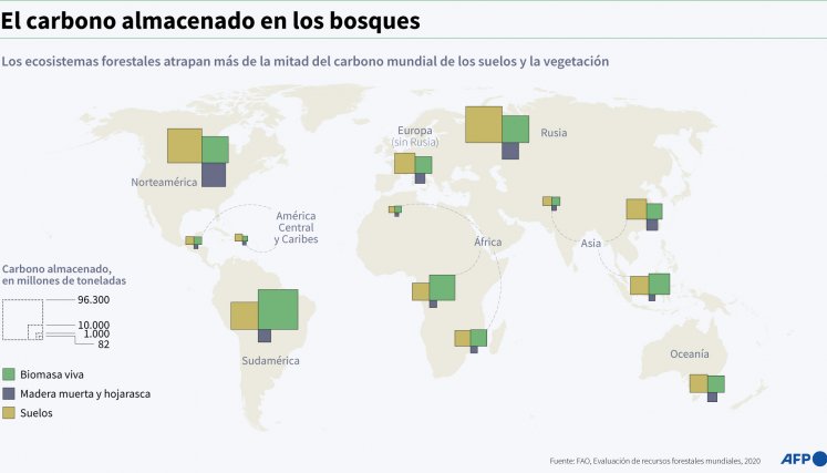 Carbono en los bosques. / Infografía de AFP 