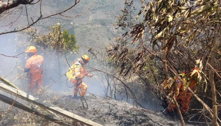 Esperan helicópteros del Ejército para apagar  incendios forestales