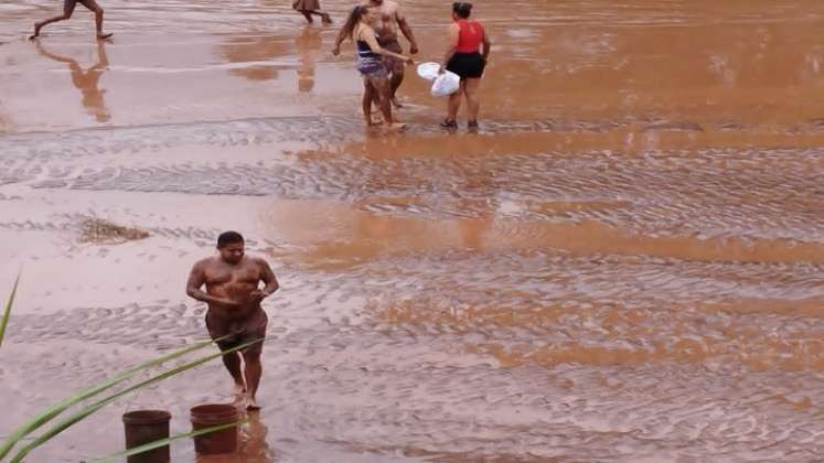 Gestión del riesgo lanzó un S.O.S. para salvar la fauna y flora en las riberas de los ríos y evitar una catástrofe mayor./ Foto: Cortesía.