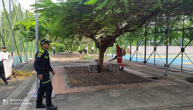 El Polideportivo del km 8 de Los Patios