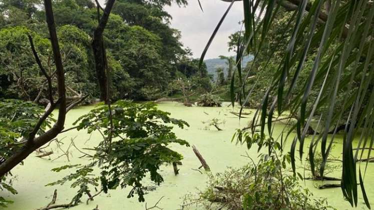 Actualmente Corponor, junto con la Secretaria de Medio Ambiente de la Gobernación de Norte de Santander y empresas del sector privado como Termotasajero S.A E.S.P, que se han vinculado activamente a este ejercicio, trabajan en pro de la declaratoria del humedal El Tinal, ubicado en zona rural de San Cayetano.