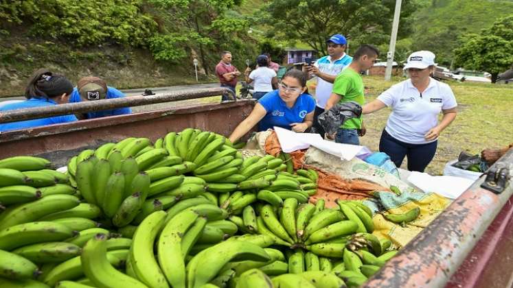 Los labriegos claman la condonación de las deudas para resarcir las pérdidas. / Cortesía.