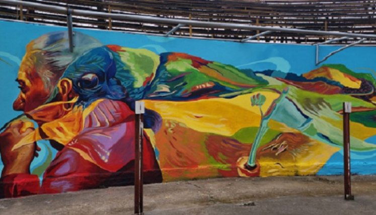 Artistas pintaron muros y paredes de Chinácota y Pamplona