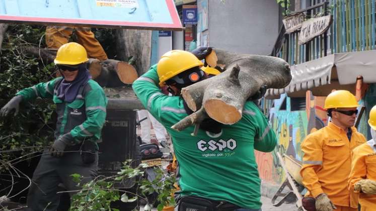 El Consejo municipal de Riesgo analiza la renovación del material forestal de la ciudad.