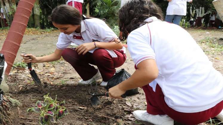 El Gobierno Municipal trabaja en actividades de educación y control ambiental para lograr una conciencia colectiva y una ciudad más sostenible./ Foto: Cortesía