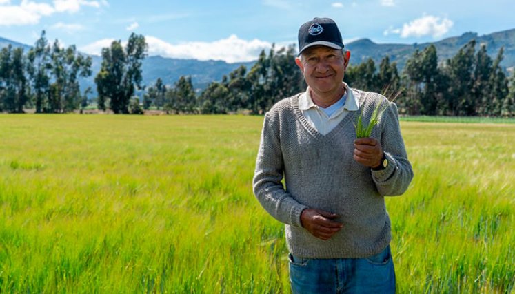 Bavaria tiene como objetivo integrar más agricultores a su cadena de valor. / Foto: Cortesía