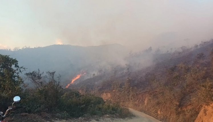 Encendidas se encuentran las alarmas por incendios forestales debido al fenómeno de El Niño./ Fotos: Cortesía