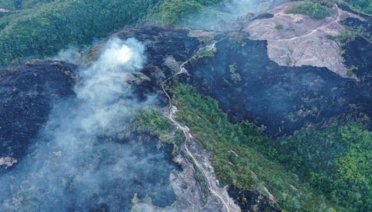 Encendidas se encuentran las alarmas por incendios forestales debido al fenómeno de El Niño./ Fotos: Cortesía