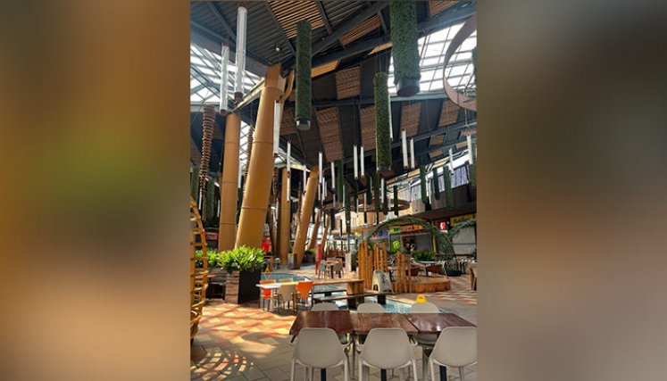 La Opinión jardin-plaza