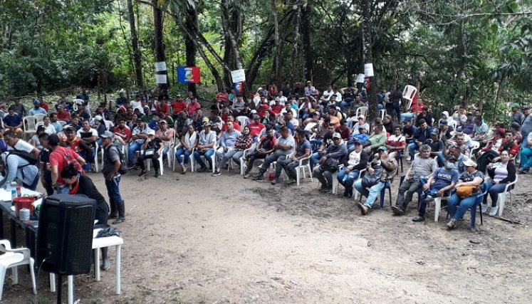 Cultivadores de coca están dispuestos a la movilización para exigir la sustitución de cultivos. /Fotos: Cortesía