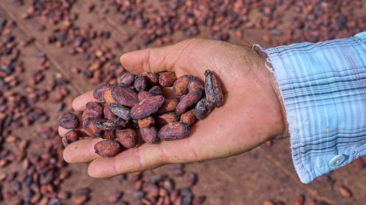 En 2021 se inició el proyecto ‘USDA Food for Progress Colombia -Cacao y Cultivos Complementarios para el Desarrollo (C4D)’.