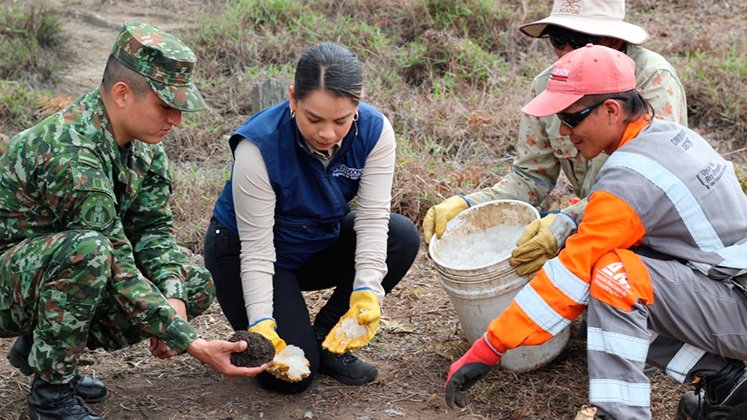 Ejército Nacional y la Unión Vial Río Pamplonita adelantan la siembra