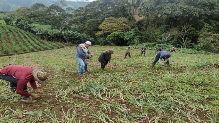 Prosperidad Social anuncia la construcción de 4 Puntos de Abastecimiento Solidario en la zona del Catatumbo./ Foto: Cortesía